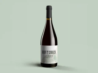 diseño integral botella vino