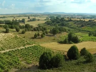 vídeo dron bodega